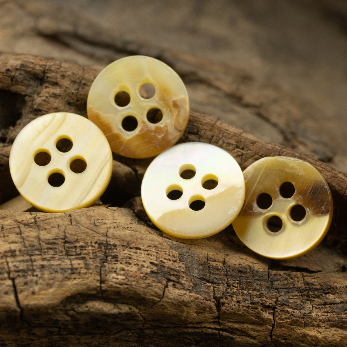 11,5MM Bottoni Naturali di Conchiglia Gialla Chiara per Camicie di Seta 10pz