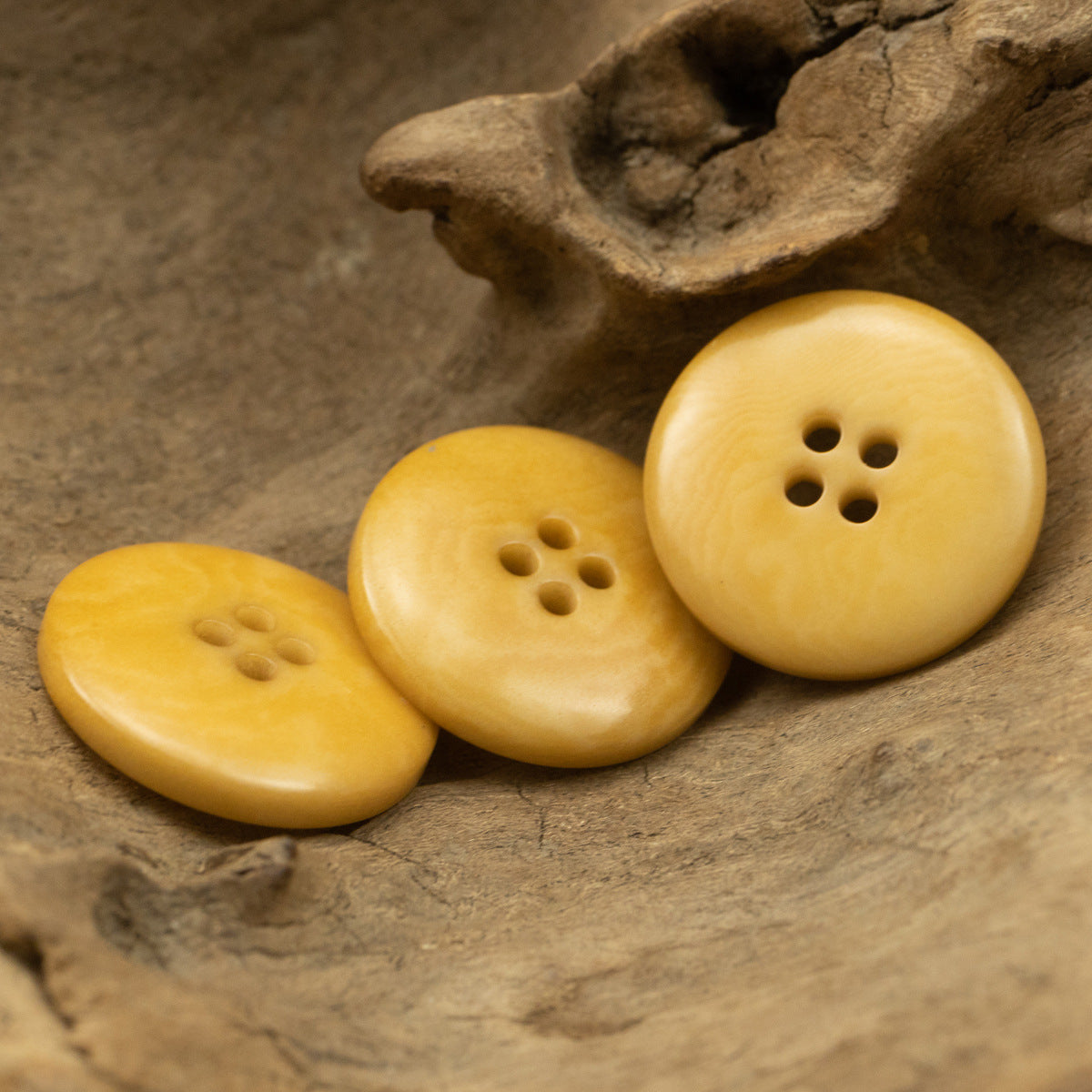 Botões de Noz Tagut Amarelo de Larga Aba para Fato de Linho e Algodão 10pcs